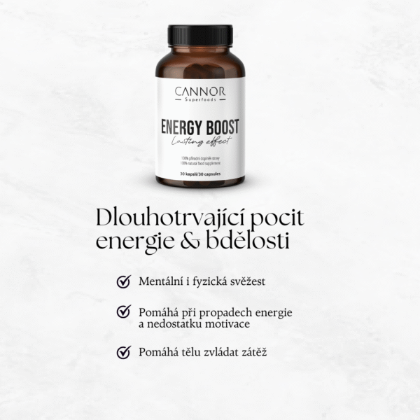Energy Boost, doplněk stravy na energii, dlouhotrvající energie, přírodní doplněk stravy, ayurvédské byliny, jak zvýšit energii, doplněk stravy Cannor,