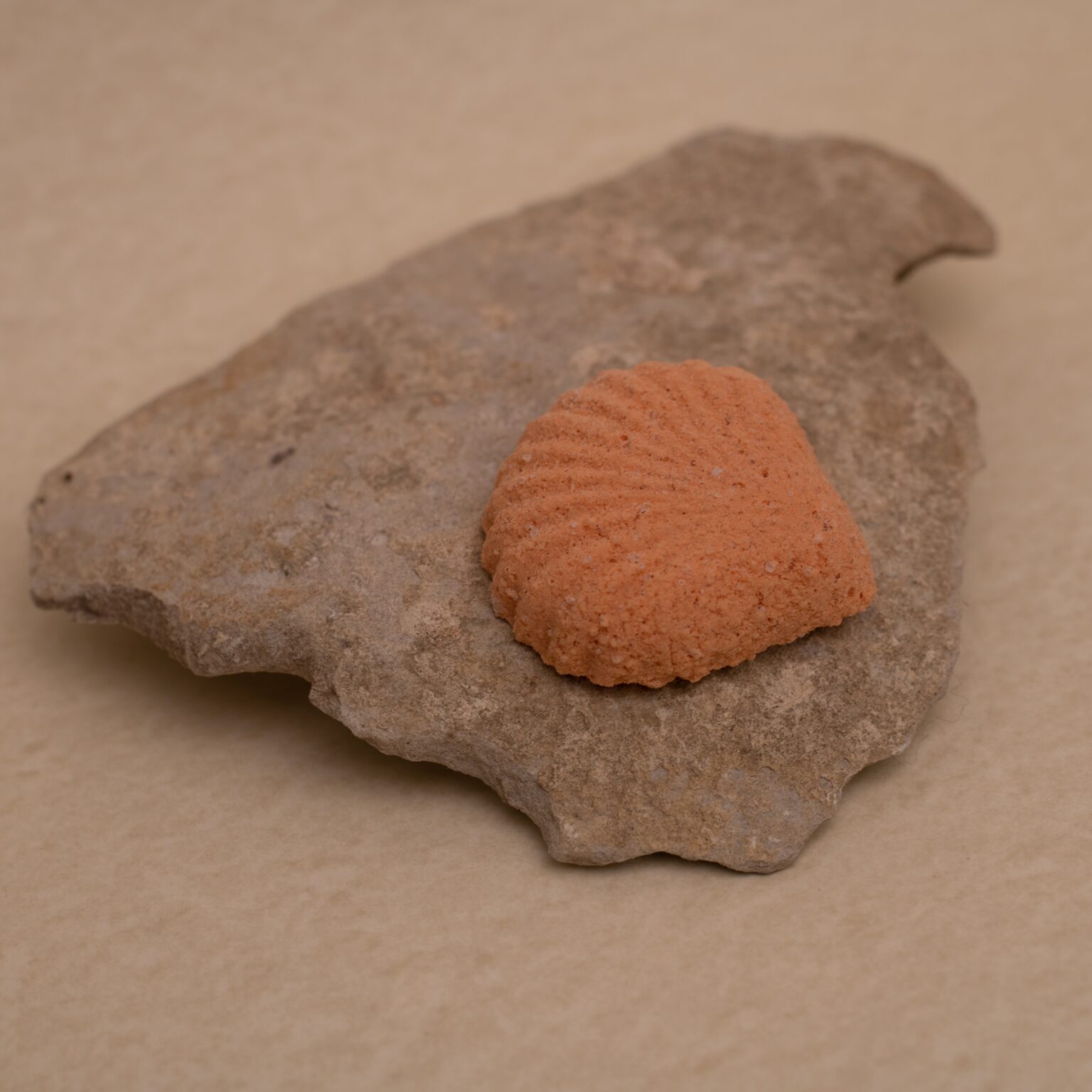 Šumivá mušle do koupele Touha - Romantická koupel CANNOR