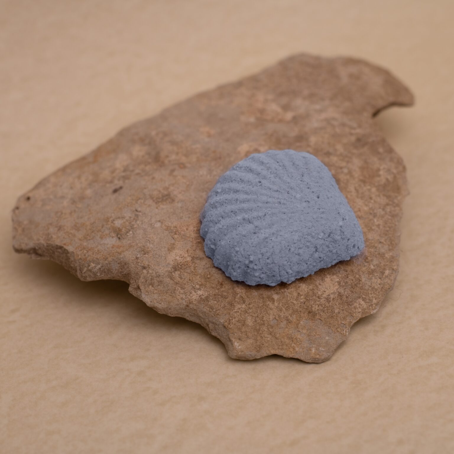 Šumivá mušle do koupele - Relax & Spánek - Koupel pro duši